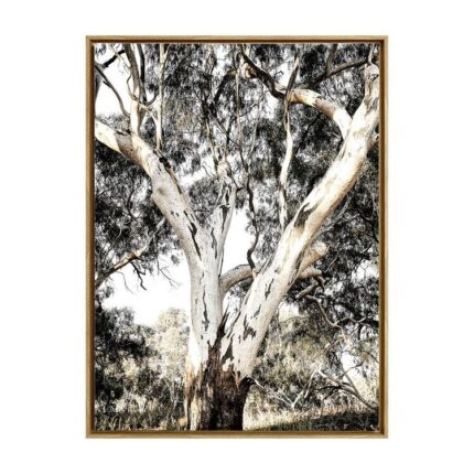 productHero-SPOTWF-BP80686220-oak-frame