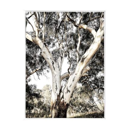 productHero-SPOTWF-BP80686220-white-frame