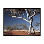 productHero-SPOTWF-BP80686248-black-frame