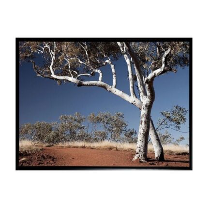 productHero-SPOTWF-BP80686248-black-frame