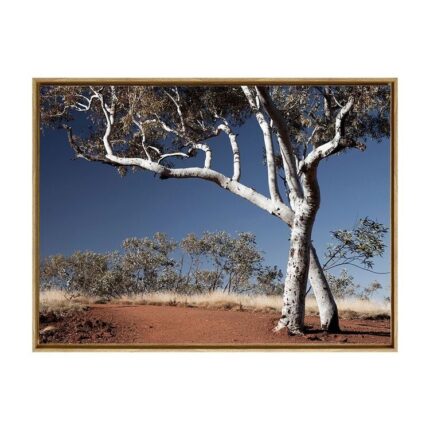 productHero-SPOTWF-BP80686248-oak-frame