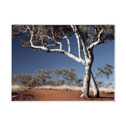 productHero-SPOTWF-BP80686248-white-frame