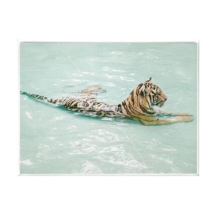 productHero-SPOTWF-BP80686257-white-frame