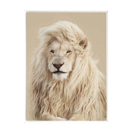 productHero-SPOTWF-BP80686276-white-frame