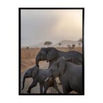 productHero-SPOTWF-BP80686295-black-frame