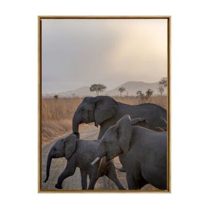 productHero-SPOTWF-BP80686295-oak-frame
