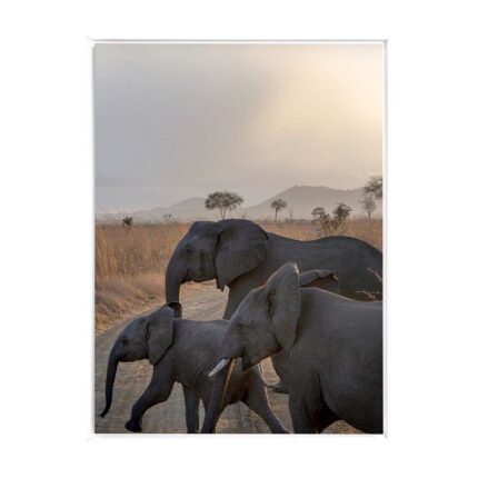 productHero-SPOTWF-BP80686295-white-frame