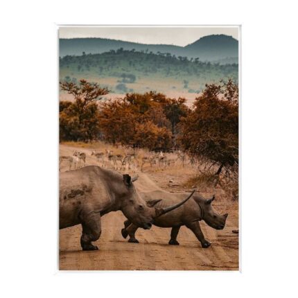 productHero-SPOTWF-BP80686314-white-frame