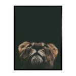 productHero-SPOTWF-BP80686333-black-frame