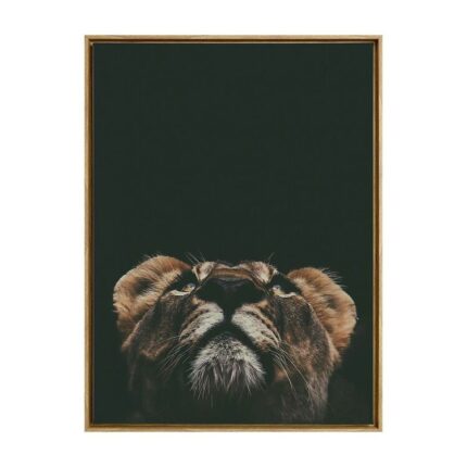 productHero-SPOTWF-BP80686333-oak-frame