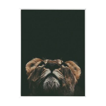 productHero-SPOTWF-BP80686333-white-frame