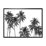 productHero-SPOTWF-BP80686383-black-frame