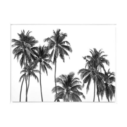 productHero-SPOTWF-BP80686383-white-frame