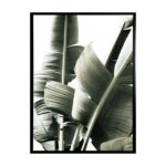 productHero-SPOTWF-BP80686402-black-frame