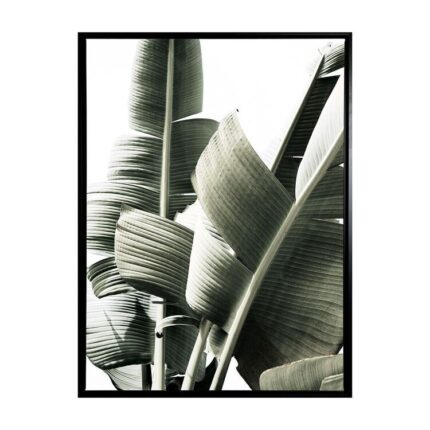productHero-SPOTWF-BP80686402-black-frame
