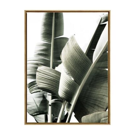 productHero-SPOTWF-BP80686402-oak-frame