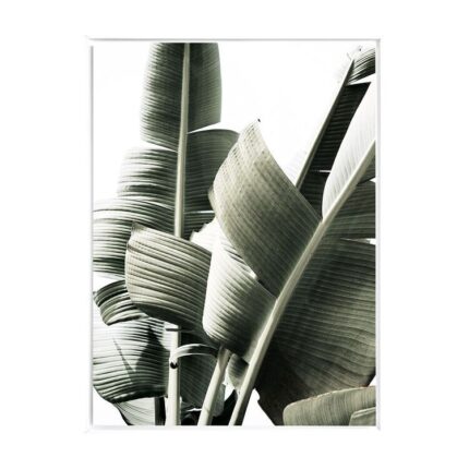 productHero-SPOTWF-BP80686402-white-frame