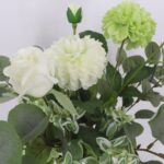 productHero-SPOTWF-BP80687389-white-10