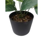 productHero-SPOTWF-BP80687541-red-3