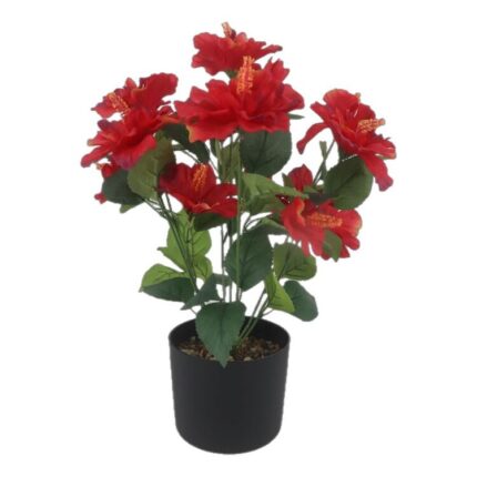 productHero-SPOTWF-BP80687541-red
