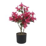 productHero-SPOTWF-BP80687542-red