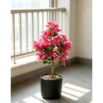productHero-SPOTWF-BP80687542-red-5