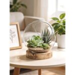 productHero-SPOTWF-BP80687773-clear-4