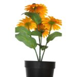 productHero-SPOTWF-BP80687819-orange-4