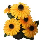productHero-SPOTWF-BP80687819-orange-5