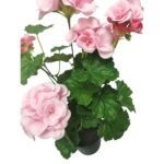 productHero-SPOTWF-BP80687822-pink-4