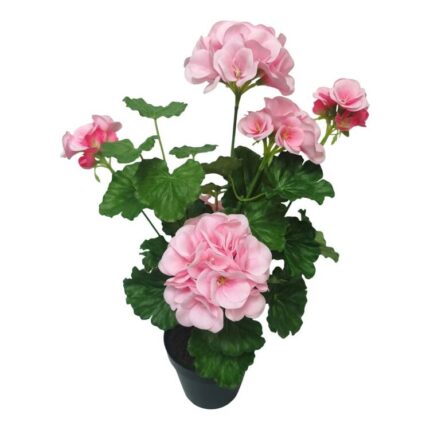 productHero-SPOTWF-BP80687822-pink