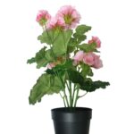 productHero-SPOTWF-BP80687822-pink-6