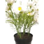 productHero-SPOTWF-BP80687825-white-4