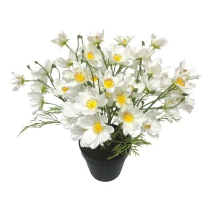 productHero-SPOTWF-BP80687825-white