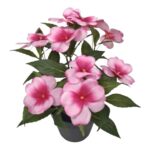 productHero-SPOTWF-BP80687826-pink