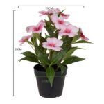 productHero-SPOTWF-BP80687826-pink-2