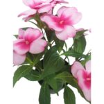 productHero-SPOTWF-BP80687826-pink-4