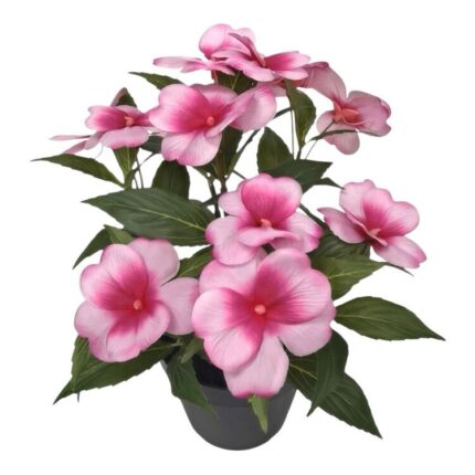 productHero-SPOTWF-BP80687826-pink