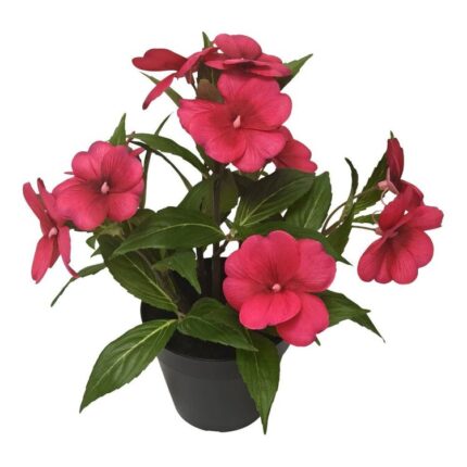 productHero-SPOTWF-BP80687826-red