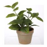 productHero-SPOTWF-BP80688739-green