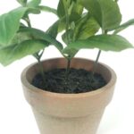 productHero-SPOTWF-BP80688739-green-3