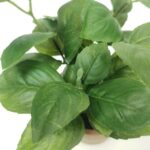 productHero-SPOTWF-BP80688739-green-4