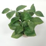 productHero-SPOTWF-BP80688739-green-5