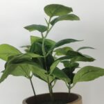 productHero-SPOTWF-BP80688739-green-6