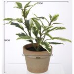 productHero-SPOTWF-BP80688740-green-2