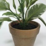 productHero-SPOTWF-BP80688740-green-5
