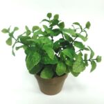 productHero-SPOTWF-BP80688741-green
