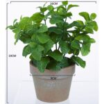 productHero-SPOTWF-BP80688741-green-2