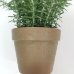 productHero-SPOTWF-BP80688742-green-4
