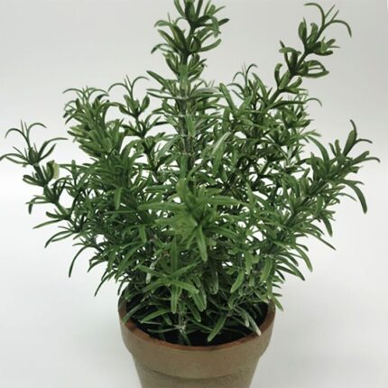 productHero-SPOTWF-BP80688742-green